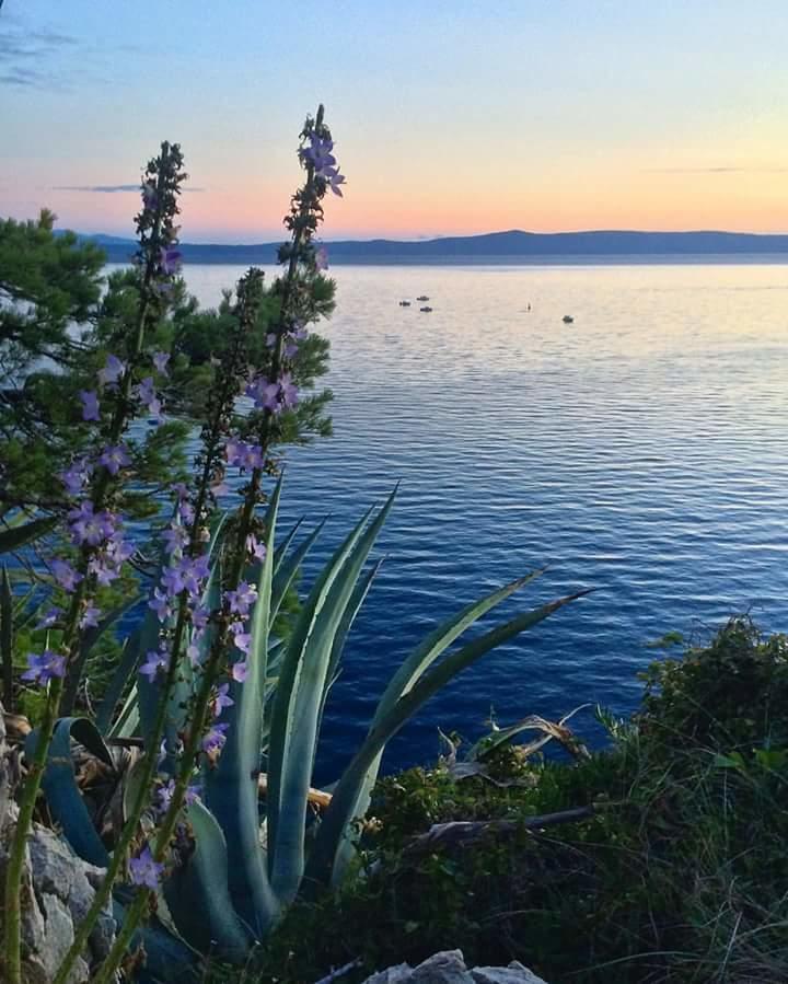 Sea View Ela Apartments Подгора Екстериор снимка